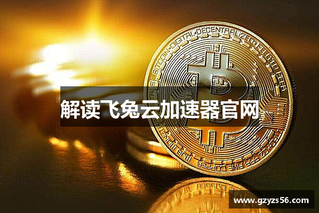 飞兔加速器(中国)官方网站｜飞兔加速器